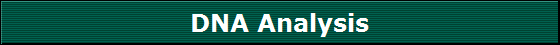 DNA Analysis